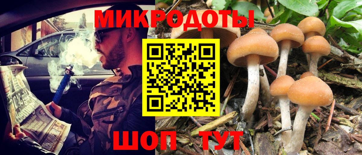 Псилоцибиновые грибы Cubensis  Галлюциногенные грибы мухоморы  Кувандык  Вход с VPN 